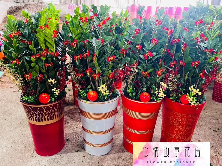 台南人推薦的開工植物盆栽！企業、銀行、醫院愛用，招財又大器！