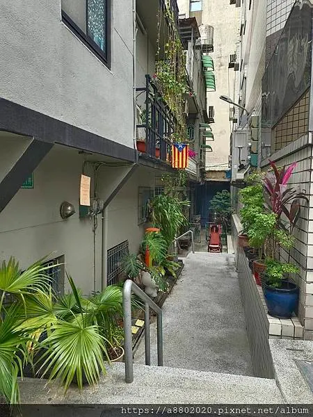 蝸牛巷
