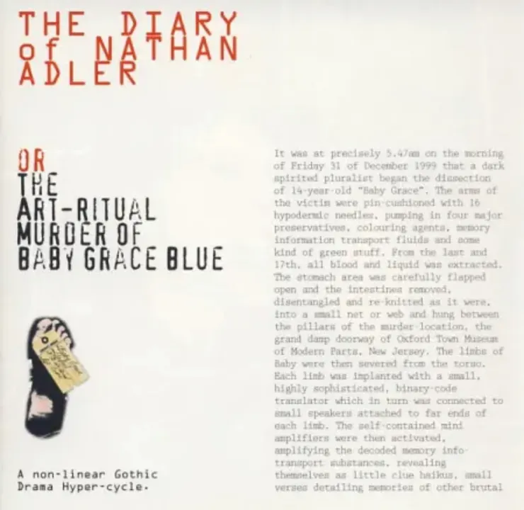 &nbsp;《&nbsp;南森·阿德勒的日記&nbsp;》