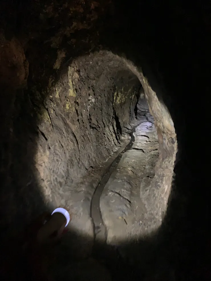 超暗的,自己一個人絕對不敢進來。