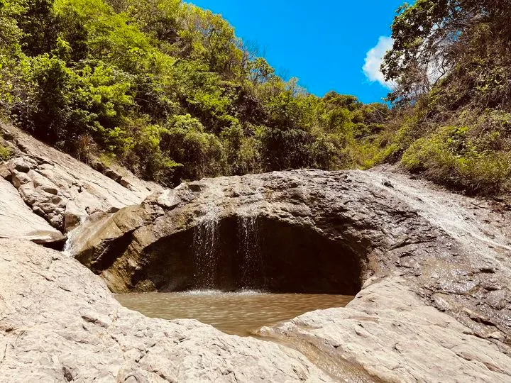 -度日隨筆#31｜覺察金星：期待回報的人生，終將讓我們的心變得貧乏-