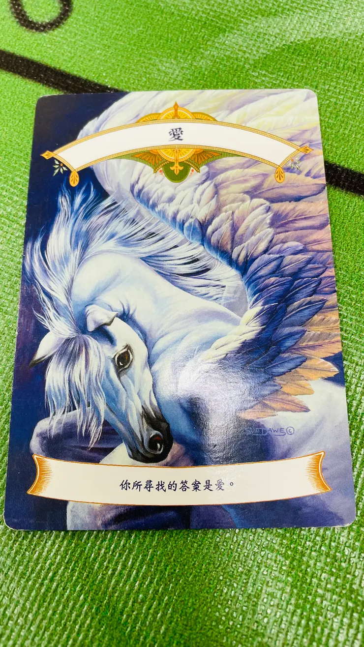 第二天上課抽的獨角獸牌卡，抽到的瞬間，我腦海中閃過的訊息是：「我所愛即成信念，我所信者便將成真。」