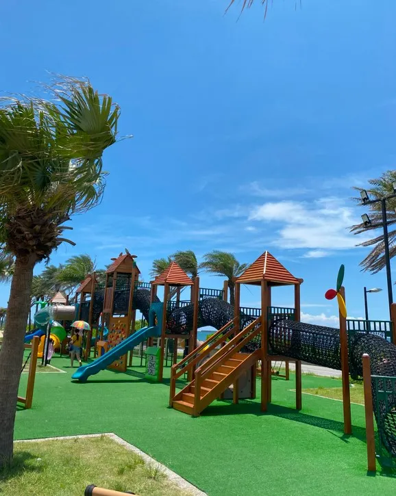 去年太平洋海洋公園跟現在差別好大 有整修了