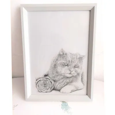 素描上畫框後會比較好看