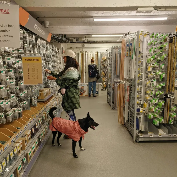 【冒雨去「特力屋」買適用的螺絲！這間也是寵物友善商店。】