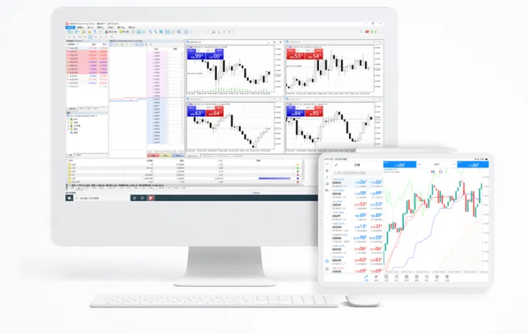Doo Prime 的 MetaTrader 5 