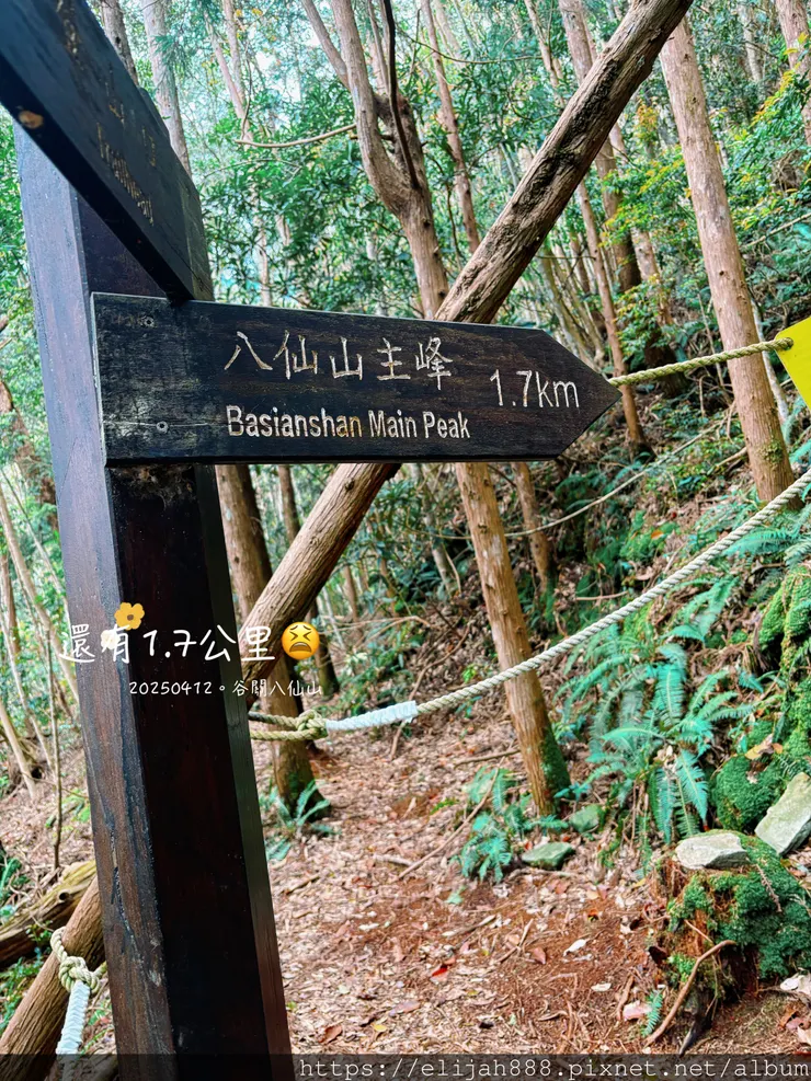 【谷關健行/住宿】谷關七雄老大。海拔2366公尺八仙山主峰。