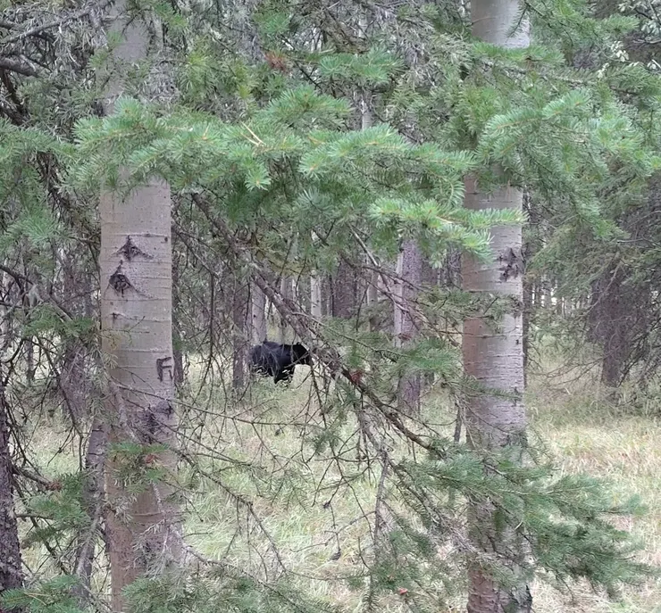 再靠近一點點～我就跟你......