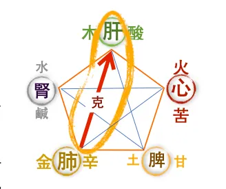 秋季飲食的味道：吃酸，養肺護肝