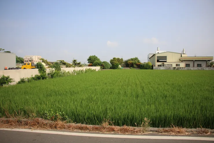 天璣天權位於農田中，需從圍牆旁木棧道進入
