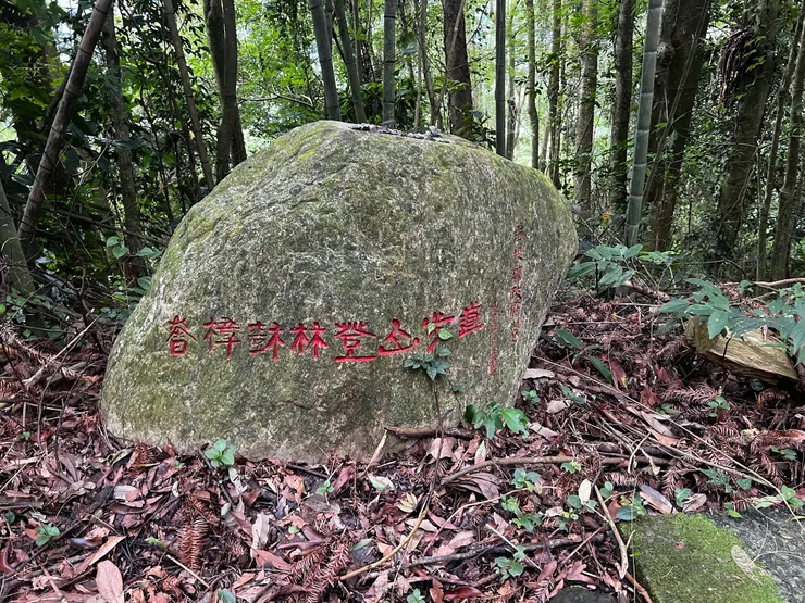 香樟林步道只是石牌