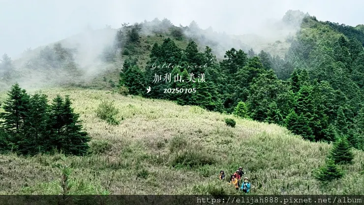 【大霸群峰4百岳。兩天一夜】伊澤山。小霸尖山。大霸尖山。加利