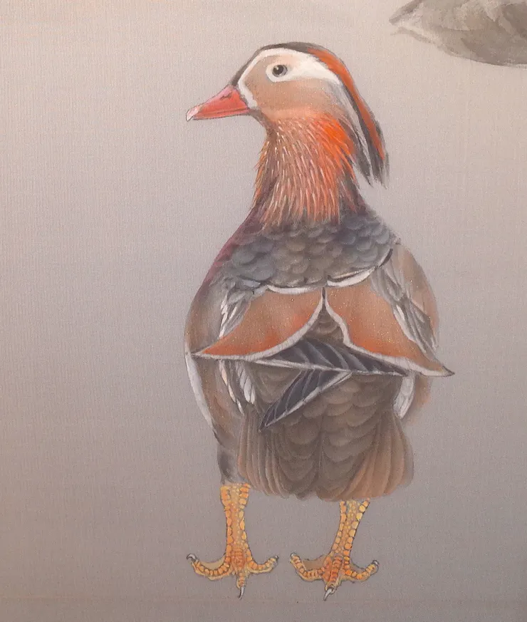 〈暖春三月〉局部－鴛鴦