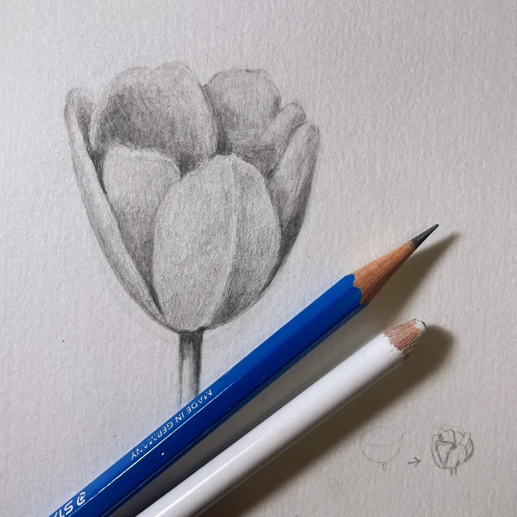 從漏斗變成花瓣的過程繪製 by ching