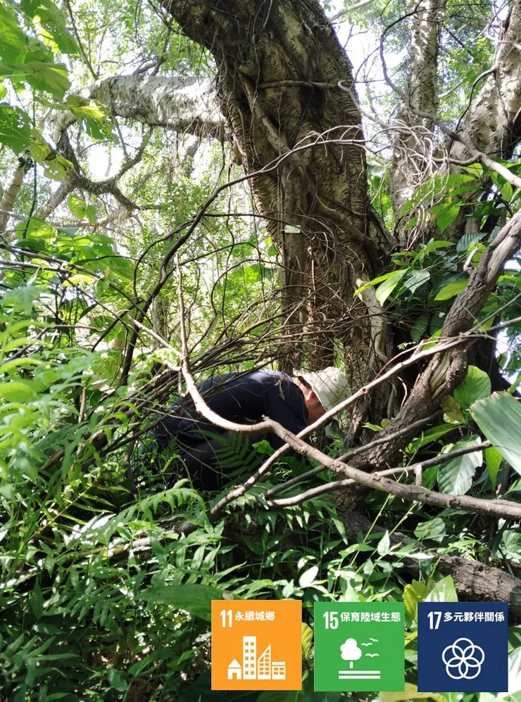 植栽過程裡，總要先把自己揣想成植株本身、一隻飛鳥、一隻蝴蟲、甚或一陣風、一束光，想想看看，然後才是彎腰掘土