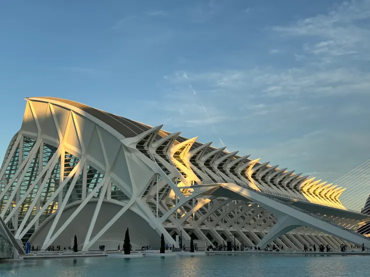 這是魚的脊椎造型的場館