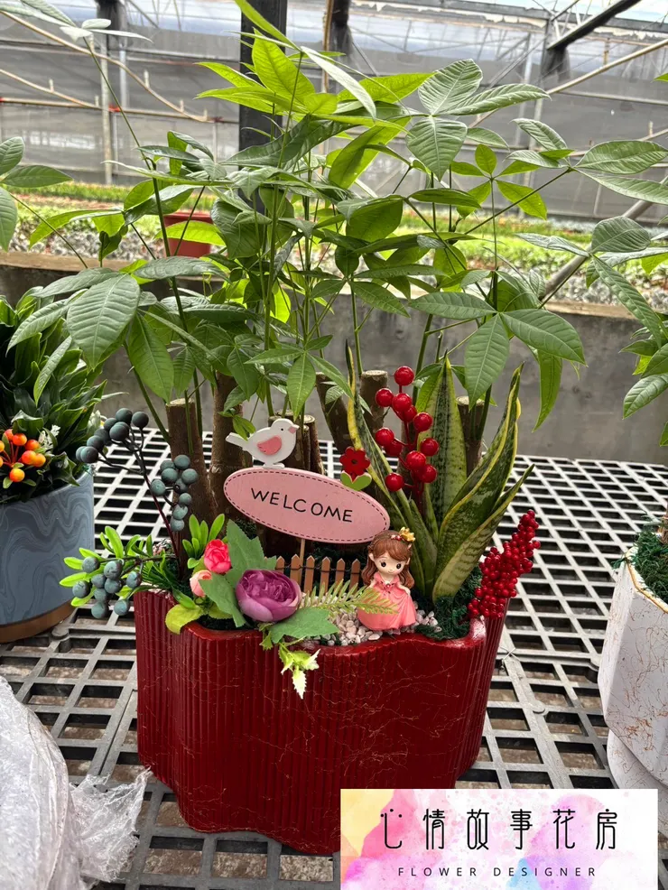 心情故事花房 | 精緻盆栽，優雅送禮新選擇  台南花店推薦  台南盆栽