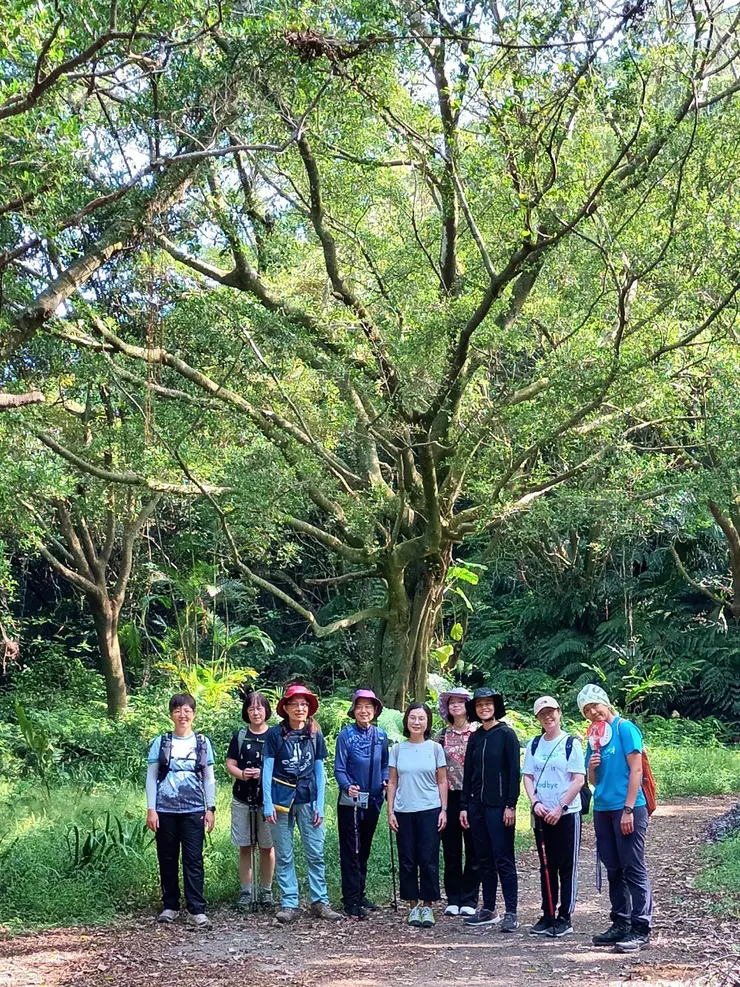 【森林療癒｜大崙尾山｜我樹森活｜9.16｜活動紀錄】