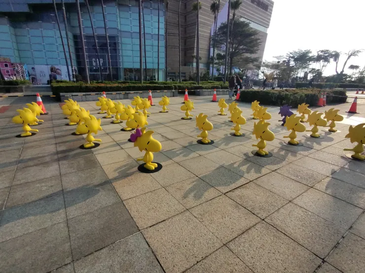 好多~好多胡士托