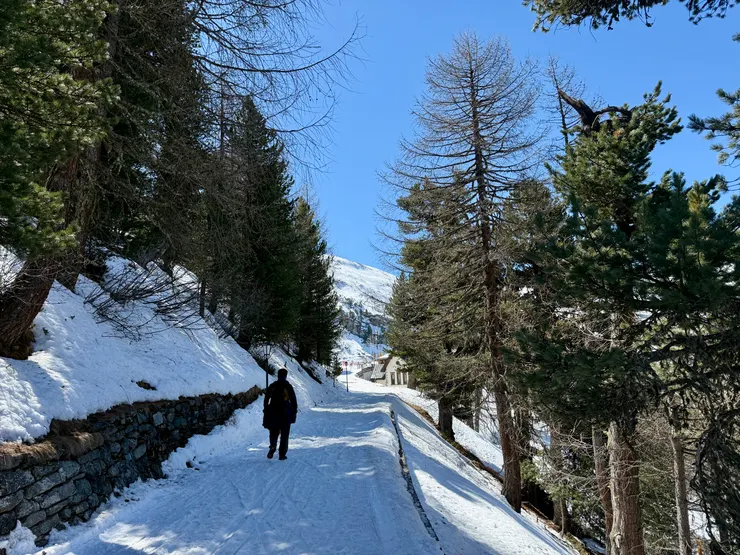 Riffelalp外的步道，與剛完全不同
