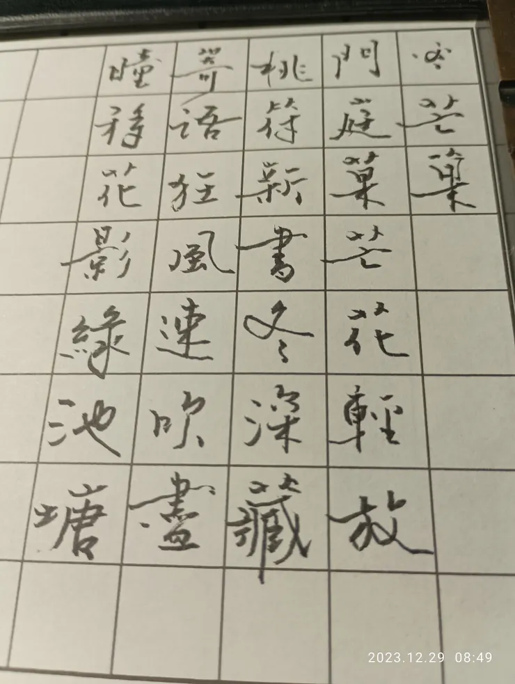 抬望眼，忽見，年翻芒果花開，心回童年！