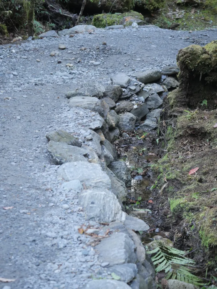 Lake Matheson的步道維護的超好，排水道的落葉也有定期清理的痕跡。