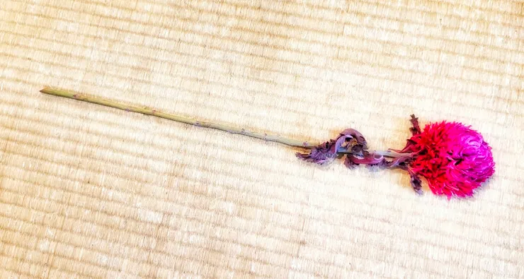 用愛情灌溉的心靈，總能綻放無比燦爛的花朵。 照片提供 | 梵靈乾坤工作室