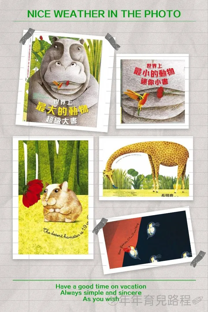 克里斯蒂娜‧班菲：陸地動物系列