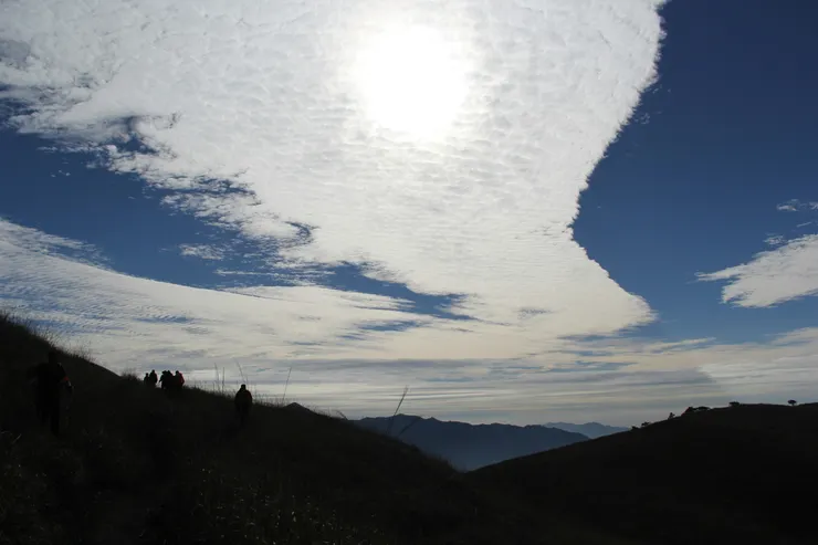 Photo by Sui Xu on Unsplash