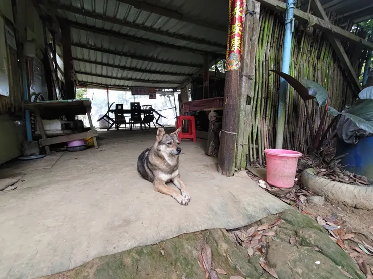 圖片來源：自攝