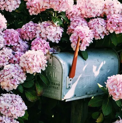 戴維在聽的沙龍