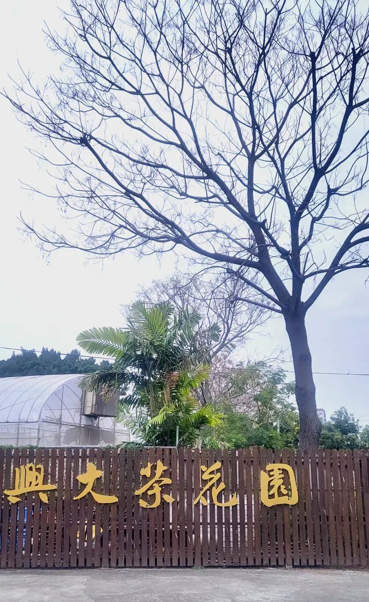 興大茶花園(陳欽忠教授題簽)