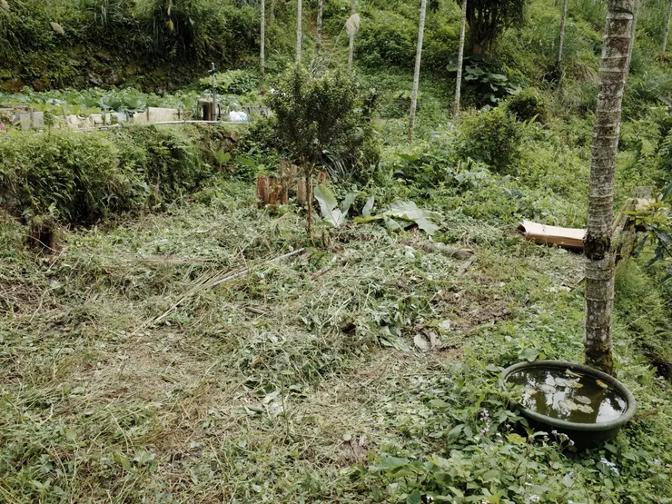 手持鐮刀耐心除草，漸漸地看清地貌