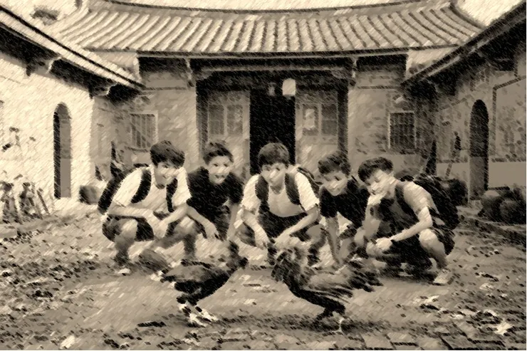 少年的我可是鬥雞高手