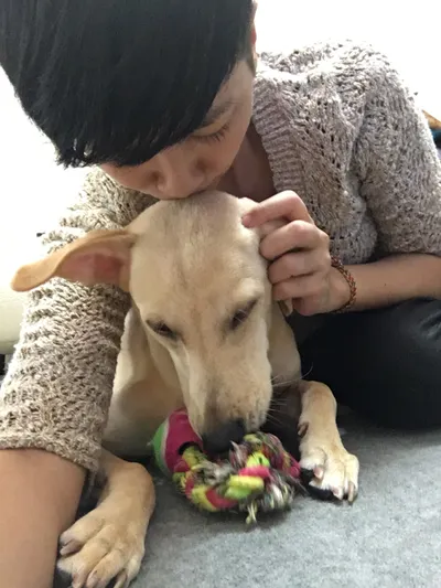 喬安納來信  電子報