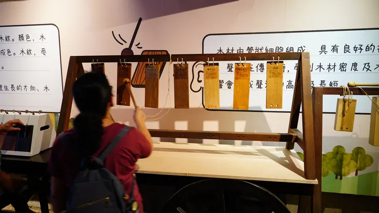 不同密度木質可發出不同的聲音