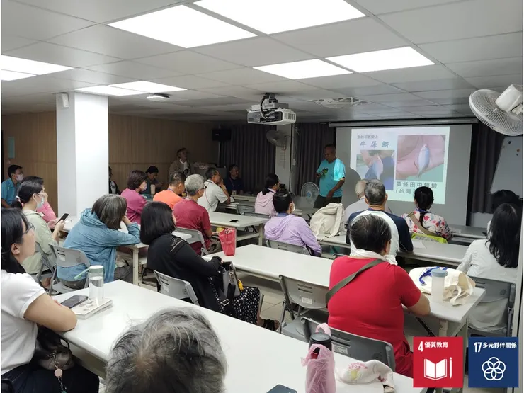 牛屎鯽──會游動的彩虹