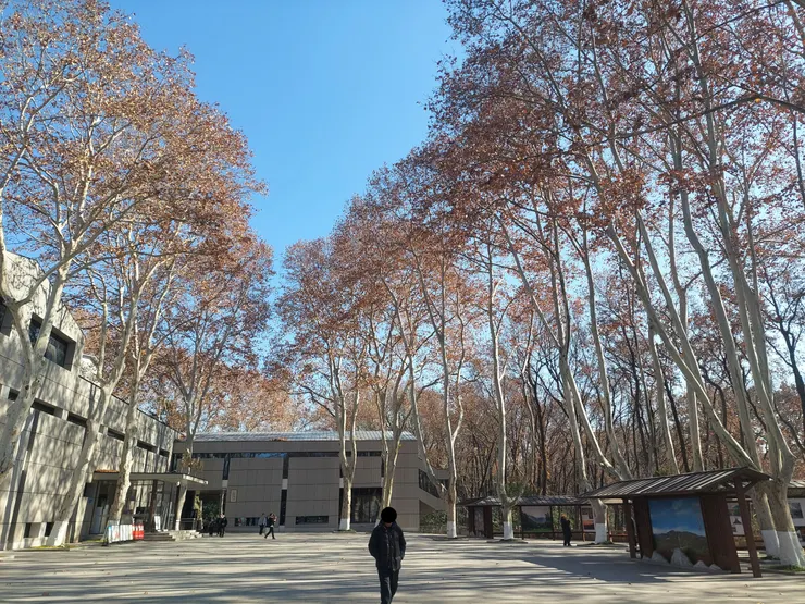中山陵內孫中山紀念館前的景色