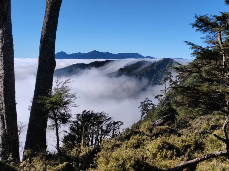 往佐美姬山前進的半途,欣賞遠處的雲瀑與背景的卑南群峰。(Photo by. SHARP AQUOS sense8)