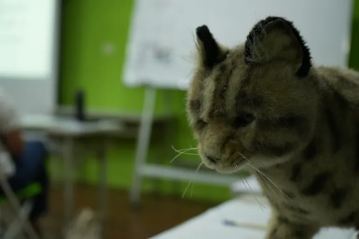 JR台中場地租借八月花絮