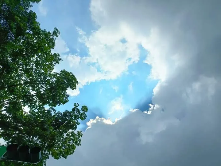 這張拍得時候有些驚險