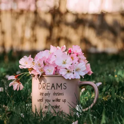 第二生命 Second-Life的沙龍