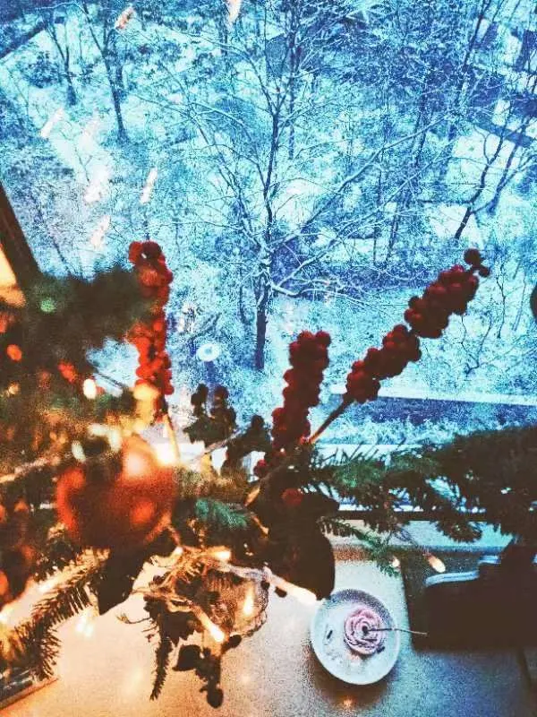 那天清晨的窗外，剛好北京下了一場雪