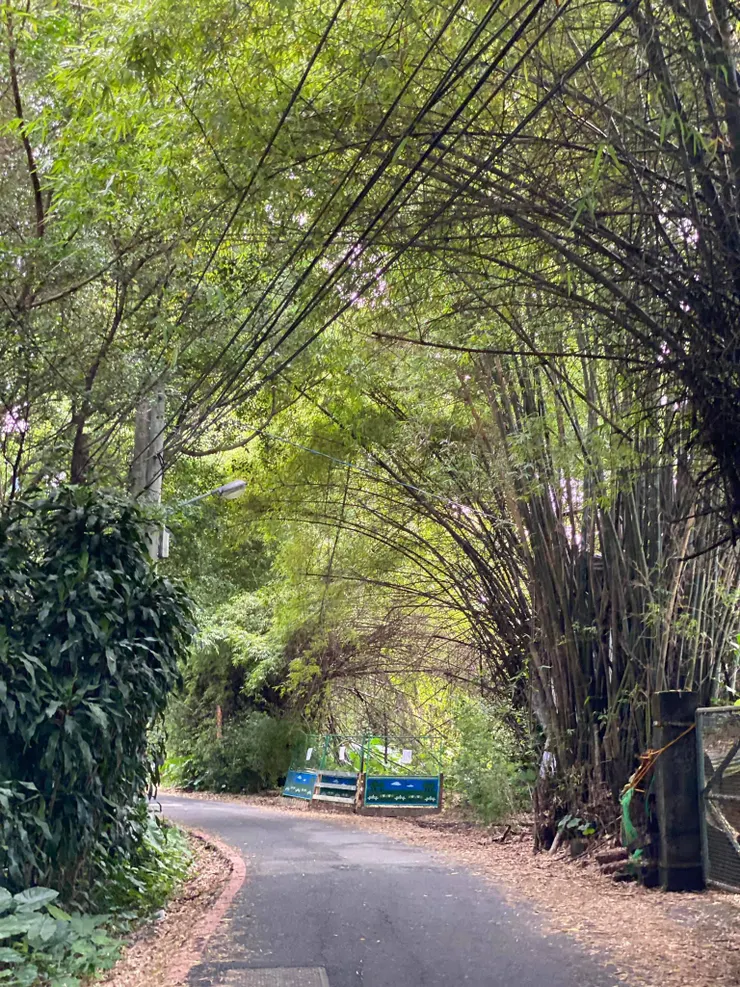 民生路古道。2022.5.29拍攝