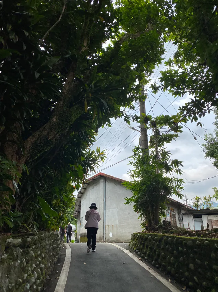 從灣潭渡下船後，通往海會寺的小路