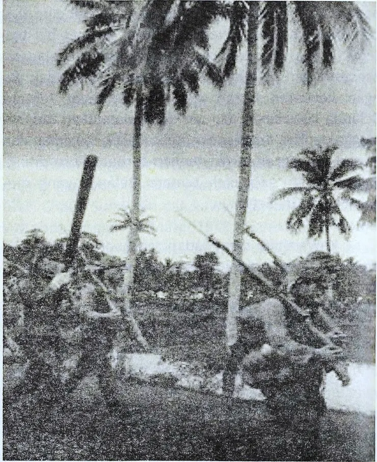 日本陸軍抵達西蘇門答臘（1942年）