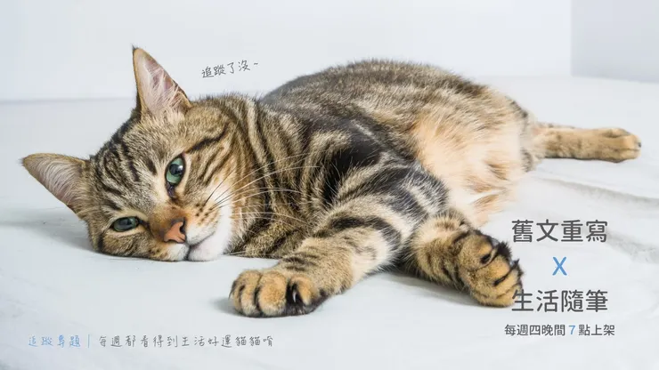 vocus｜新世代的創作平台