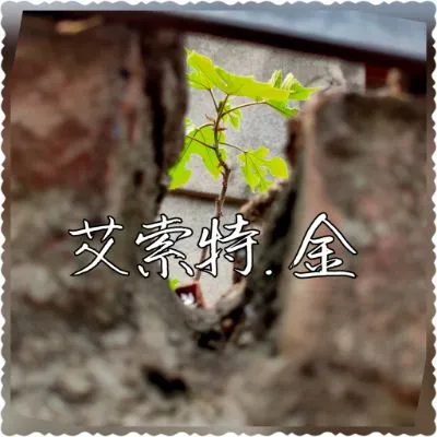 艾索特。金的沙龍