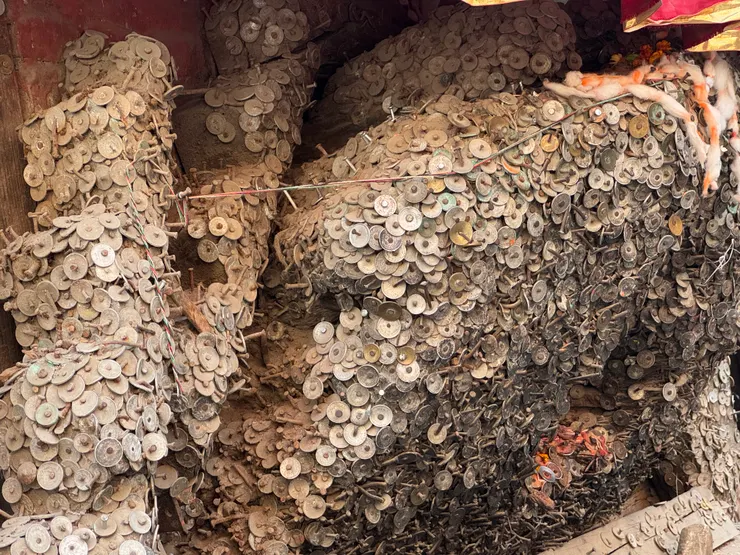 我原以為這是可以錢生錢的錢母