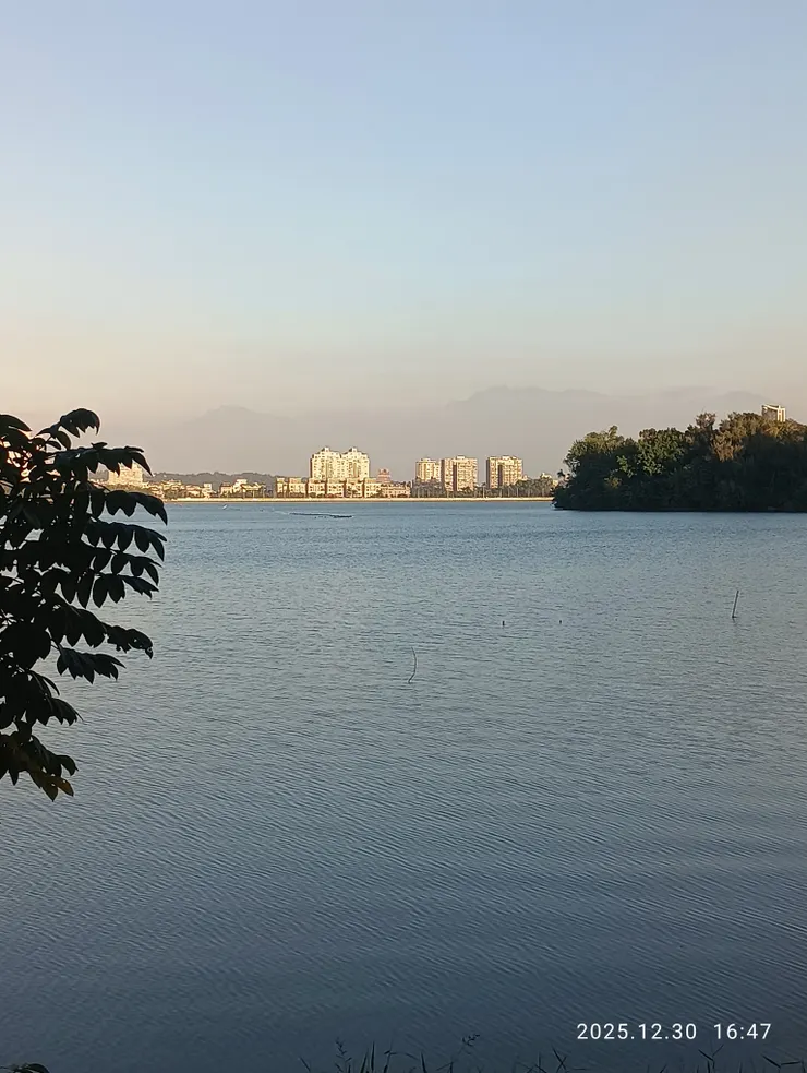 傍湖千頃惜香遠